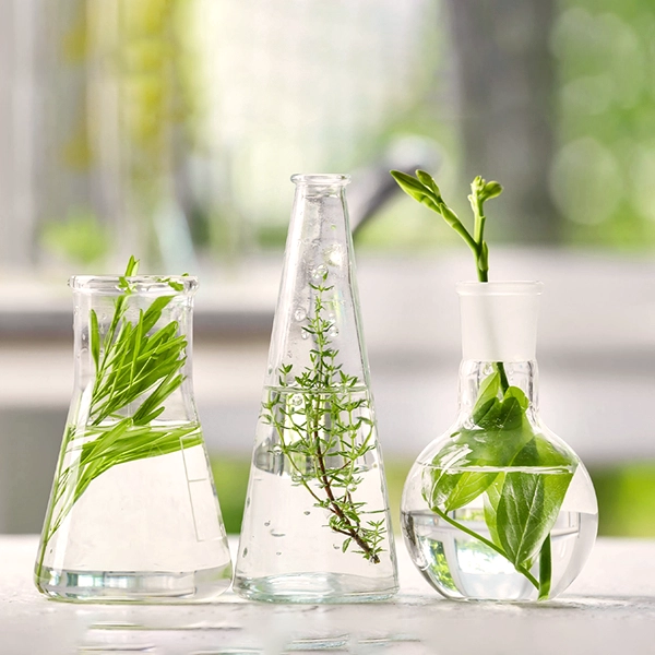The Truth About Sulfates, Parabens & Clean Beauty - What You Need to Know 1 Cover Image